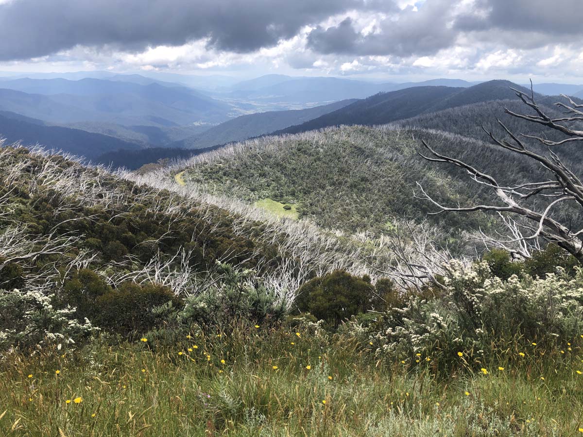 Fainter & spion kopje firetrail circuit hike 216