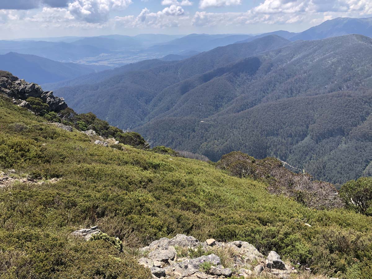Fainter & spion kopje firetrail circuit hike 32