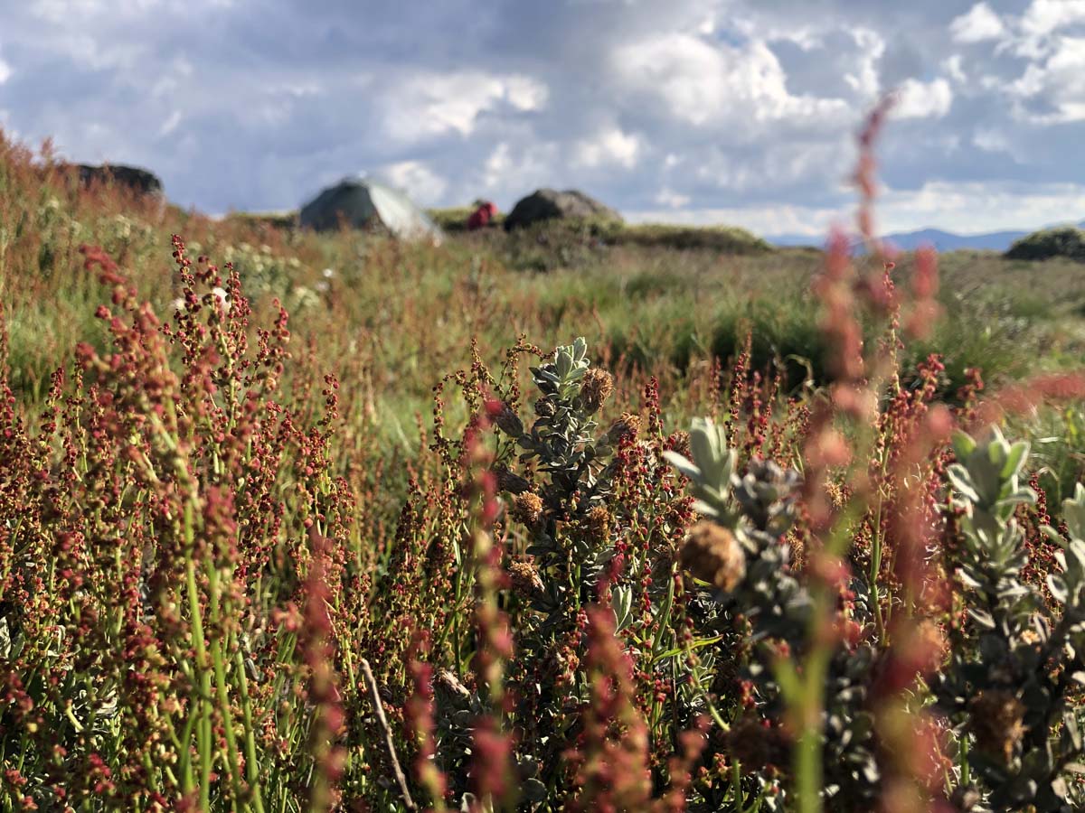 Fainter & spion kopje firetrail circuit hike 34