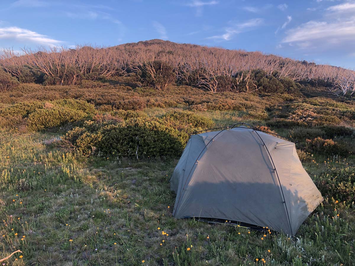 Fainter & spion kopje firetrail circuit hike 47