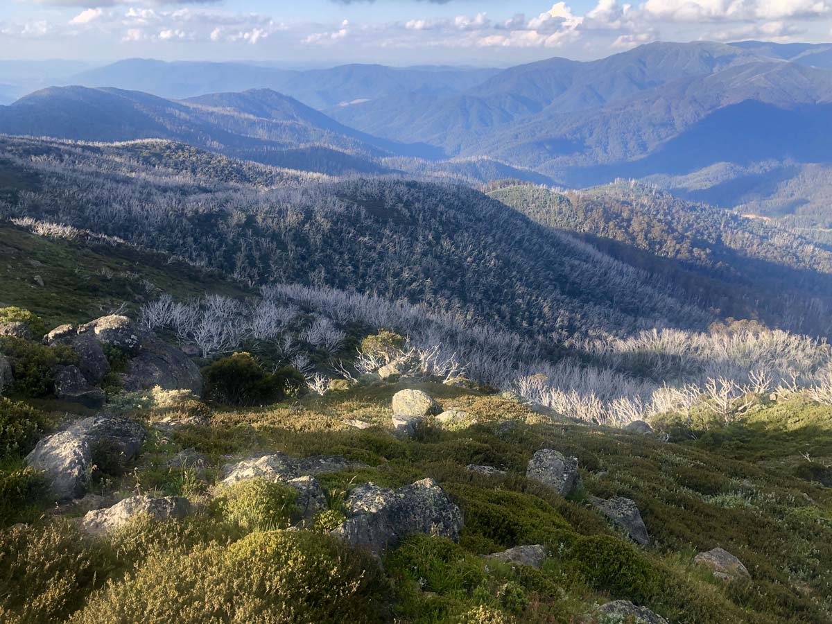 Fainter & spion kopje firetrail circuit hike 5
