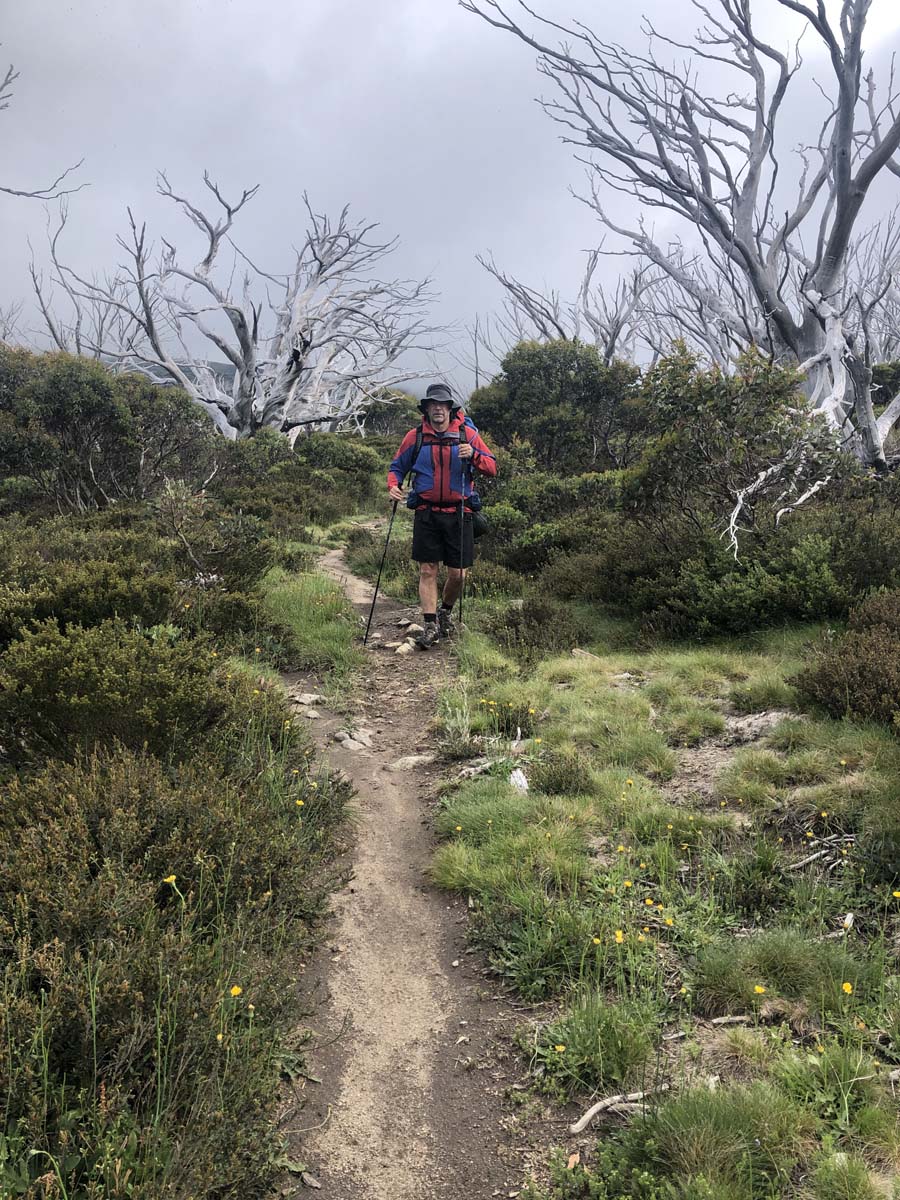 Fainter & spion kopje firetrail circuit hike 58