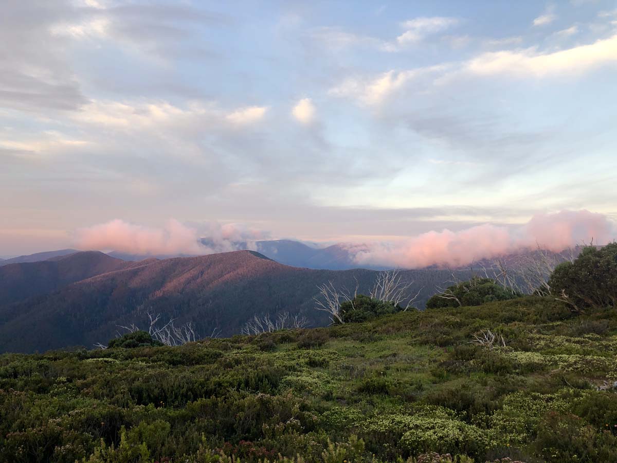 Fainter & spion kopje firetrail circuit hike 74