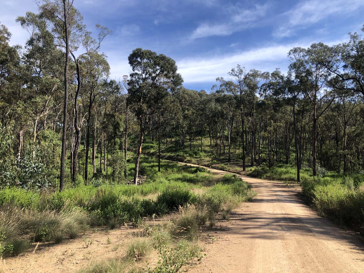 Fairy dell jeep track circuit (1)
