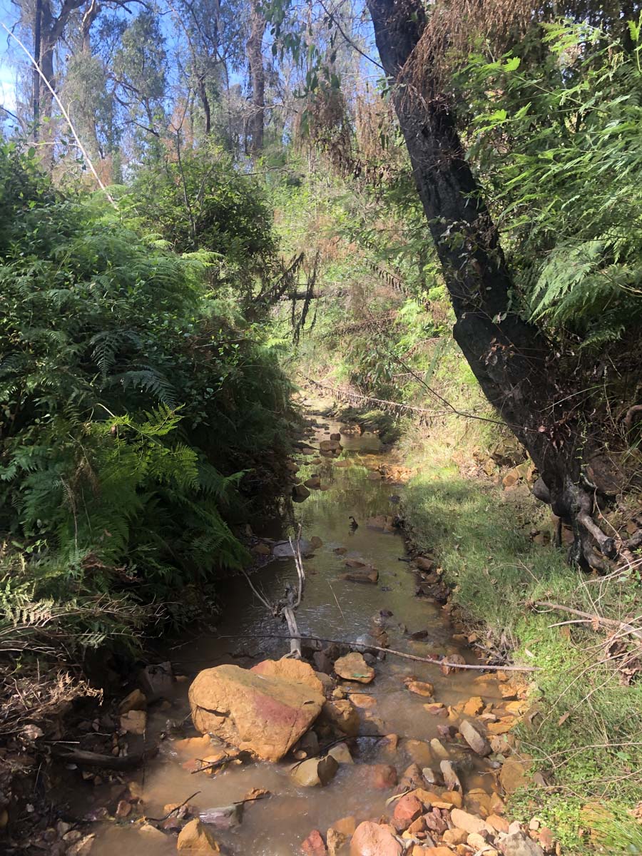 Fairy dell jeep track circuit (12)