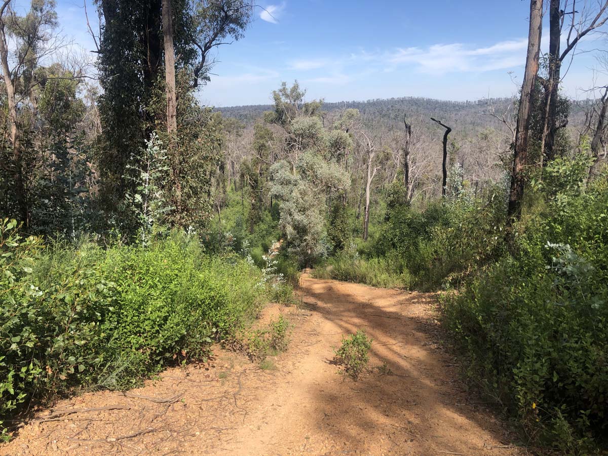 Fairy dell jeep track circuit (13)
