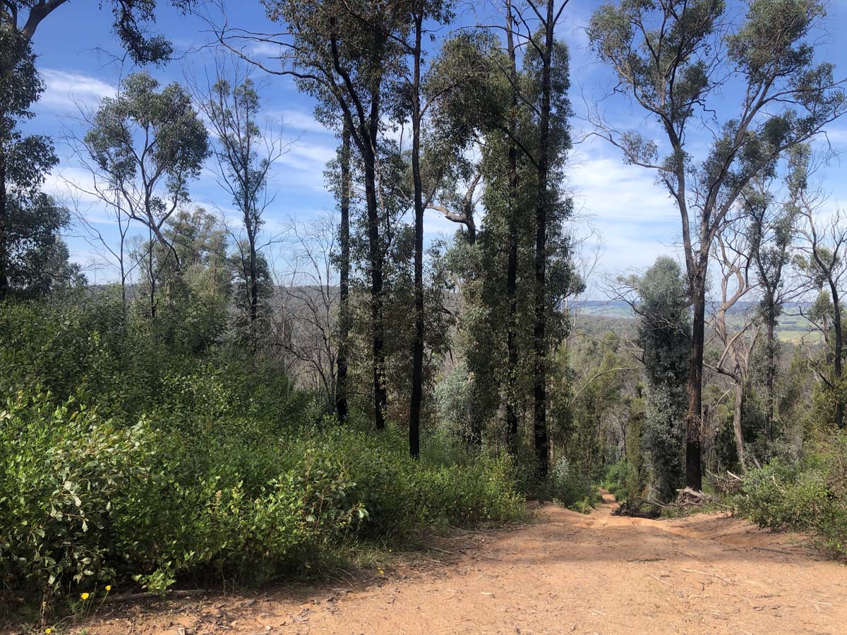 Fairy dell jeep track circuit (14)
