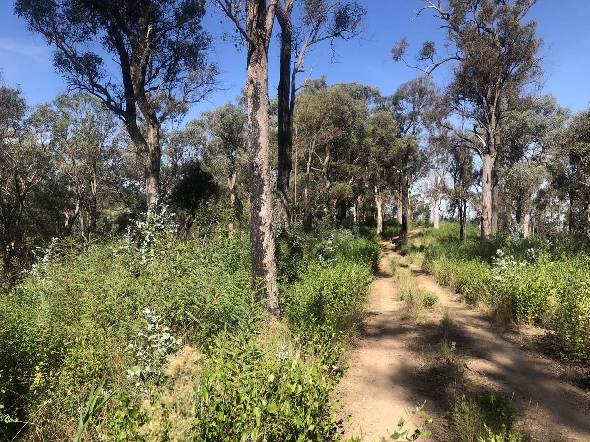 Fairy dell jeep track circuit (16)