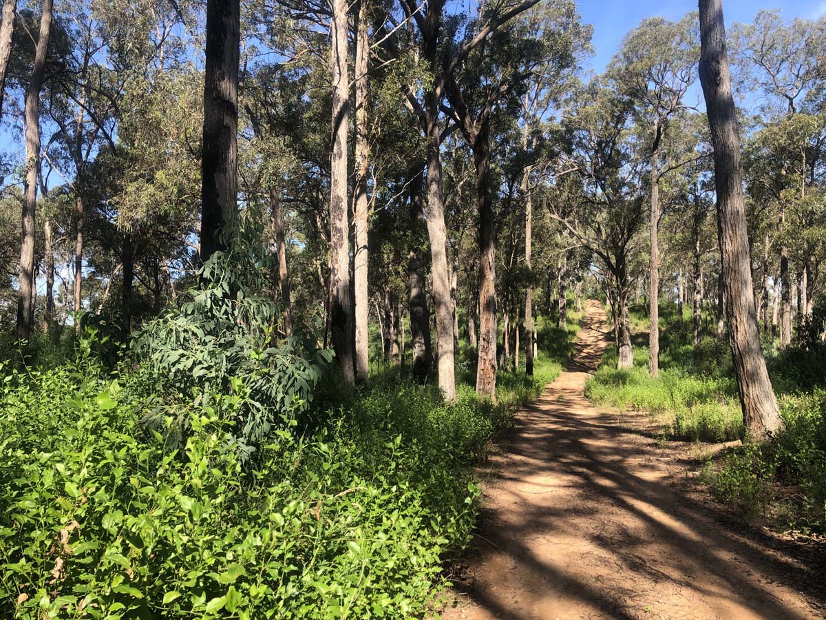 Fairy dell jeep track circuit (17)