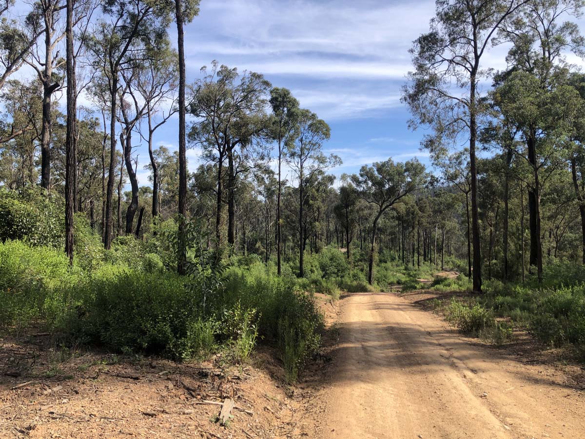 Fairy dell jeep track circuit (2)