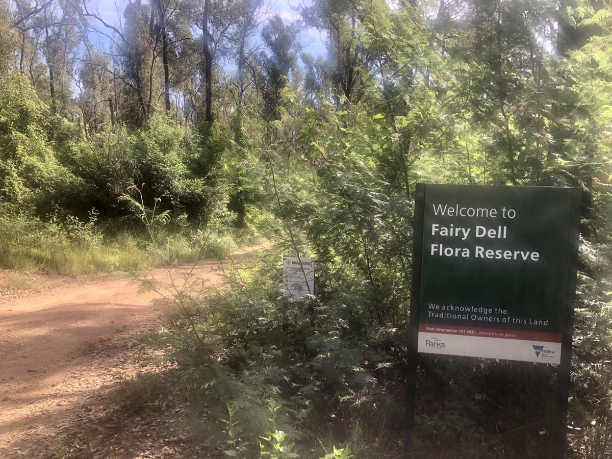 Fairy dell scenic loop (1)