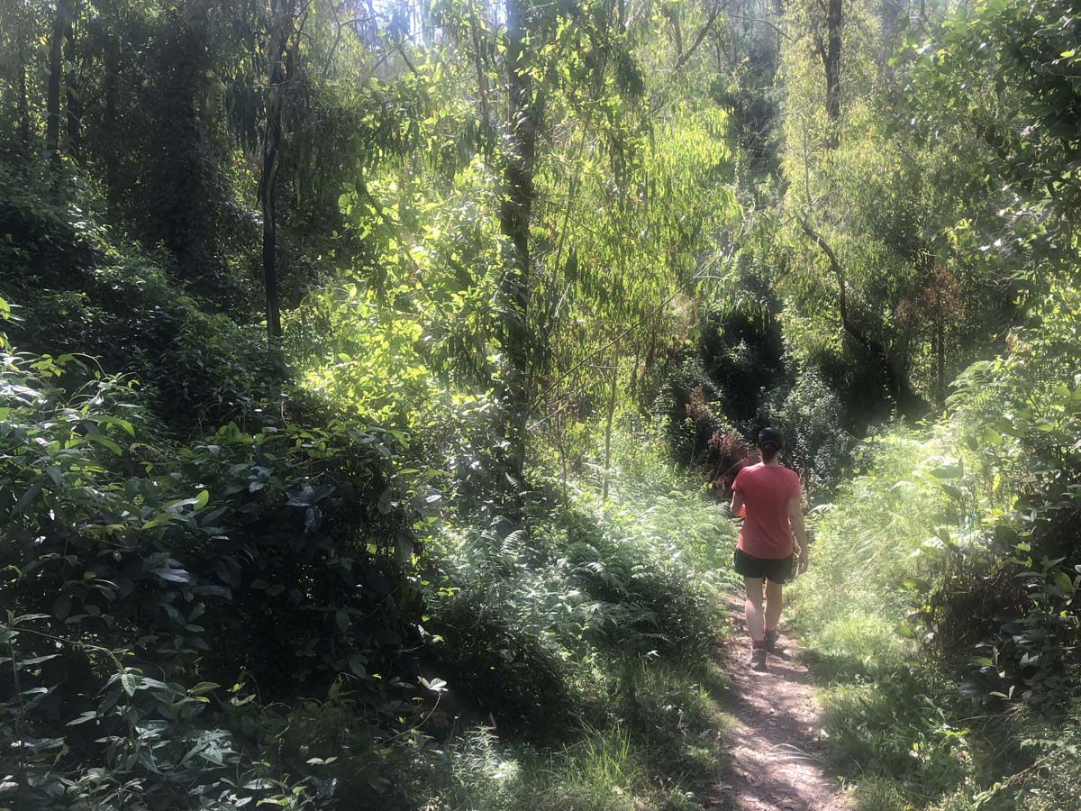 Fairy dell scenic loop (2)