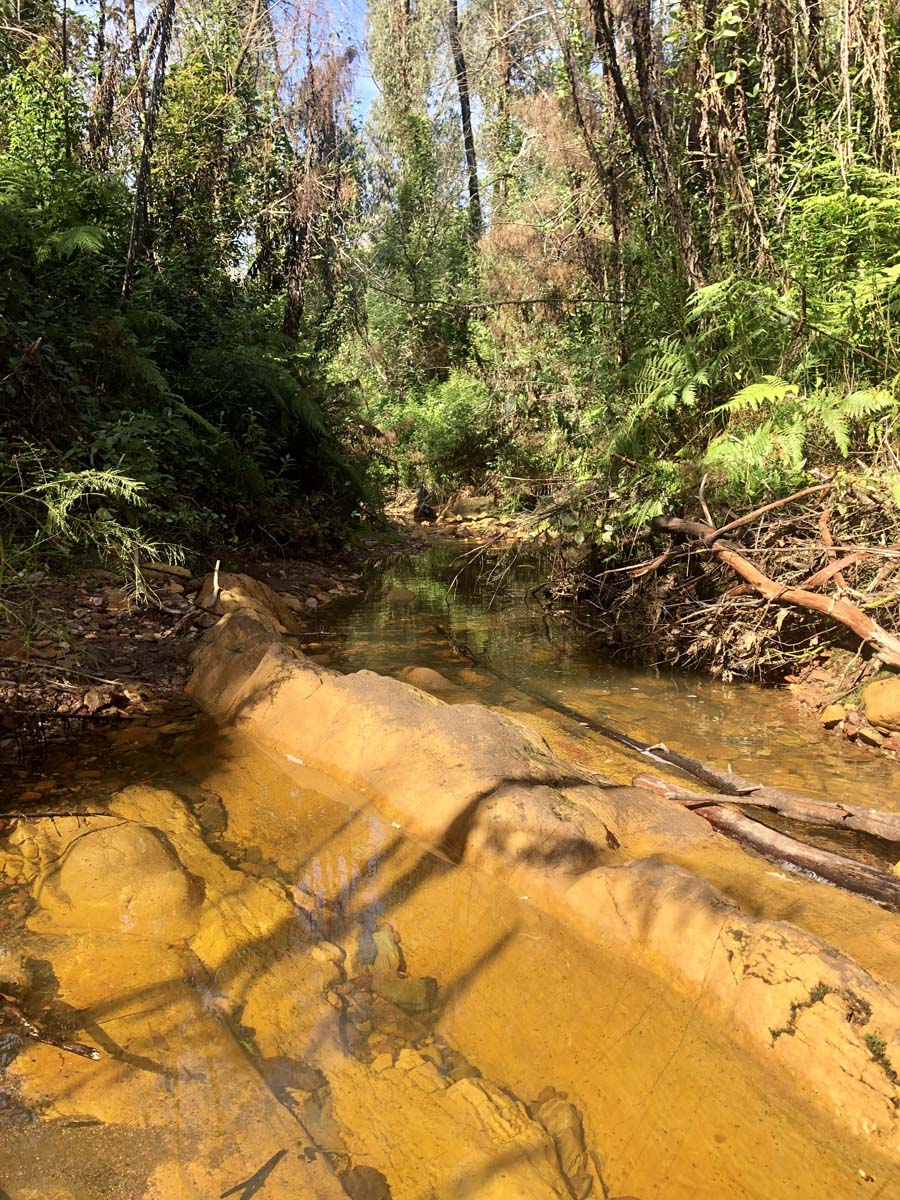 Fairy dell scenic loop (3)