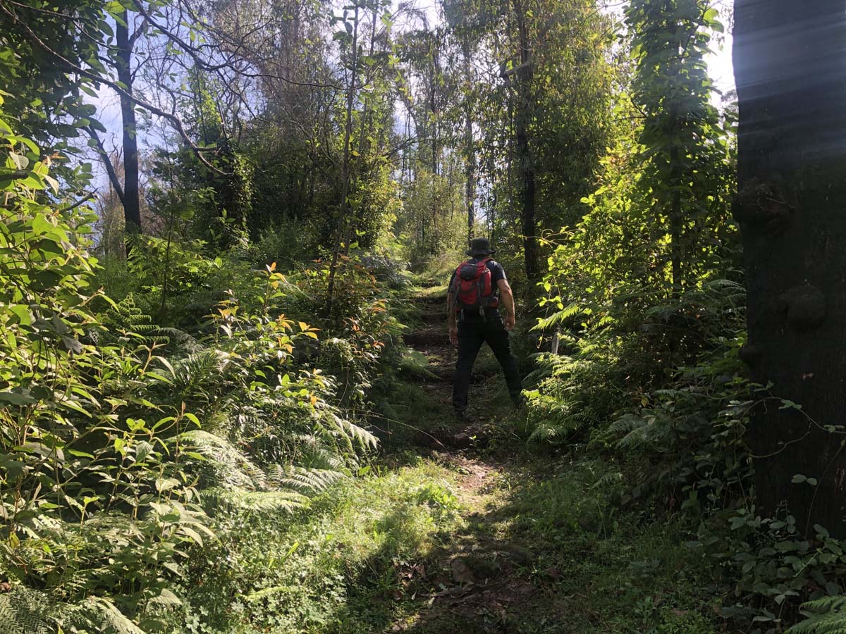 Fairy dell scenic loop (4)