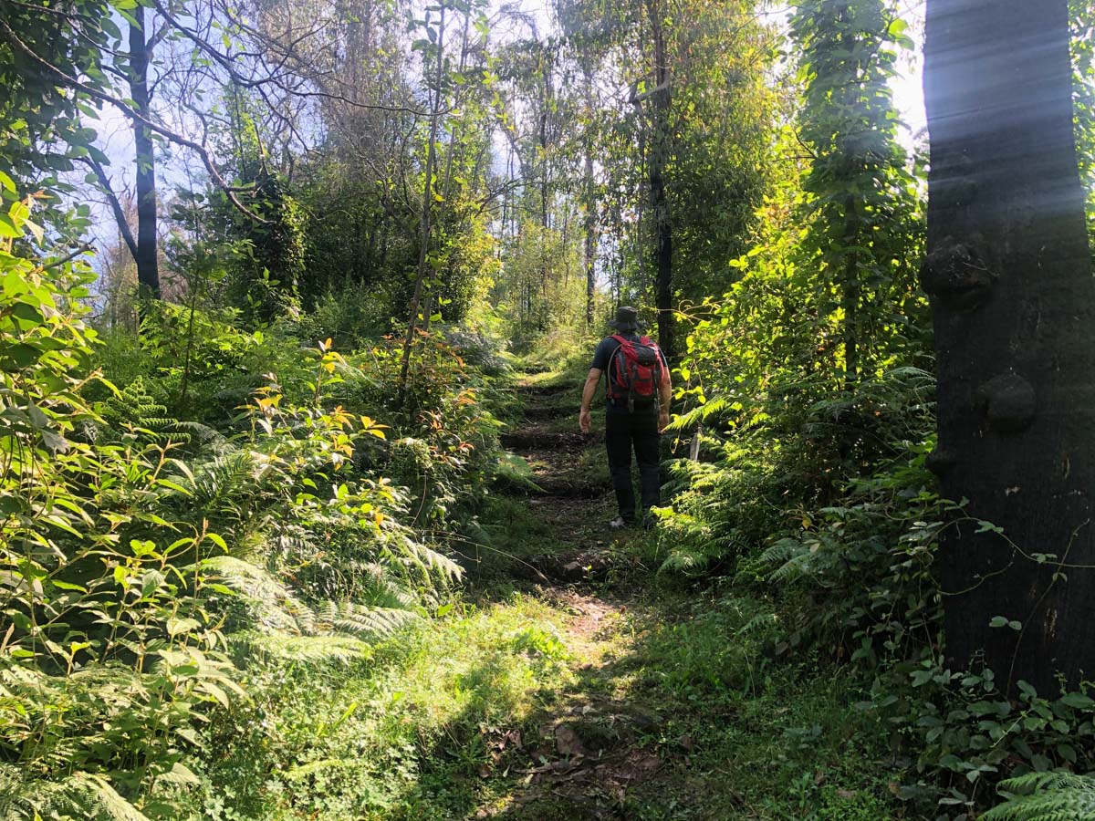 Fairy dell scenic loop (5)