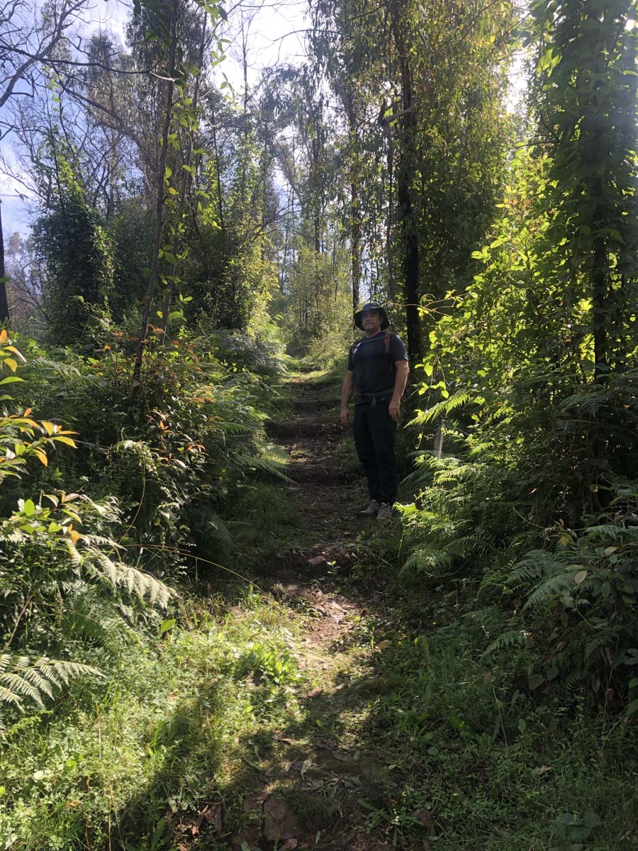 Fairy dell scenic loop (6)