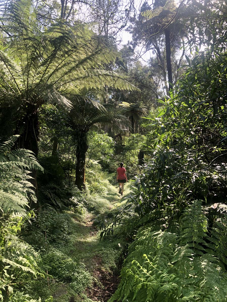 Fairy dell scenic loop (8)