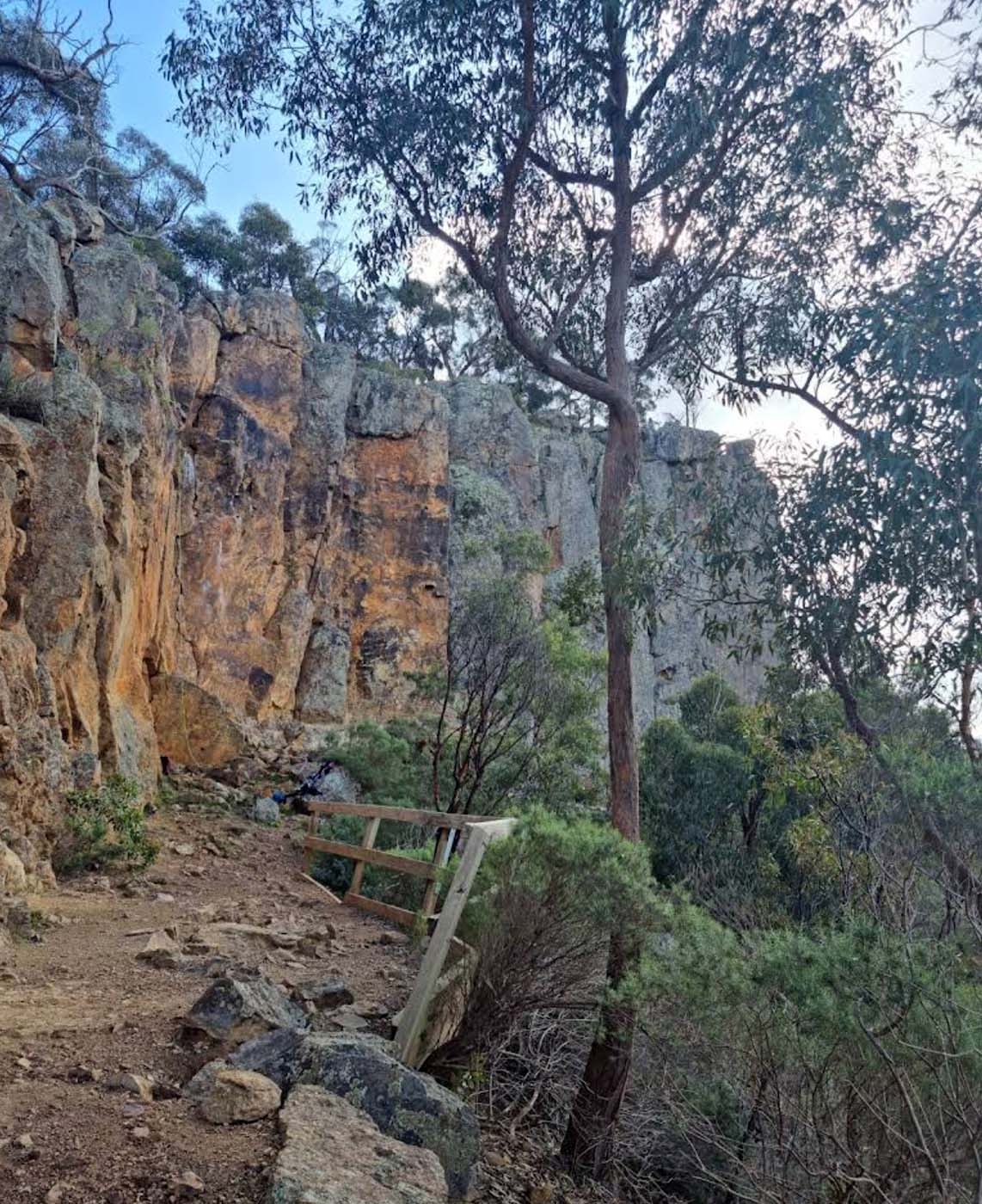 Falcons lookout walk (10)