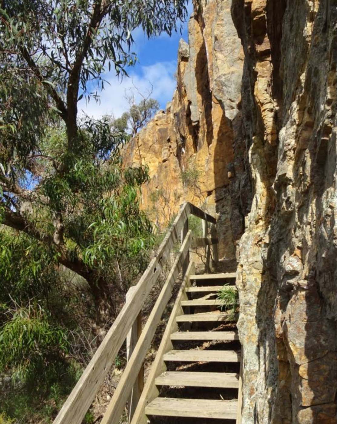 Falcons lookout walk (11)