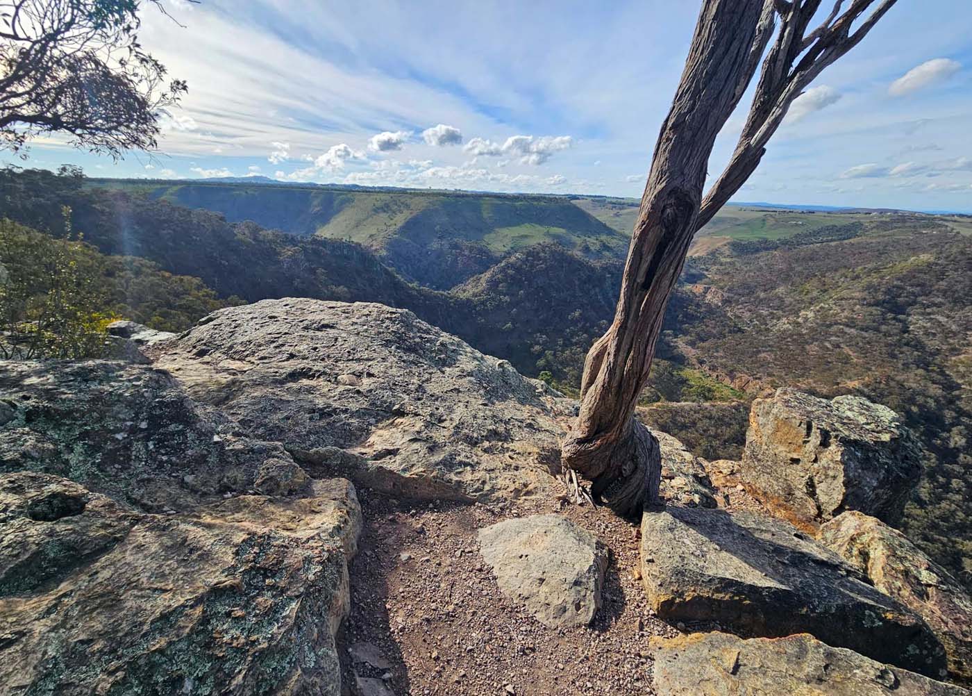 Falcons lookout walk (12)