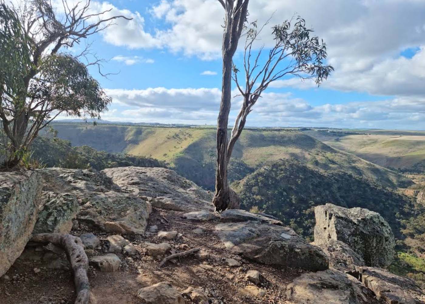 Falcons lookout walk (13)