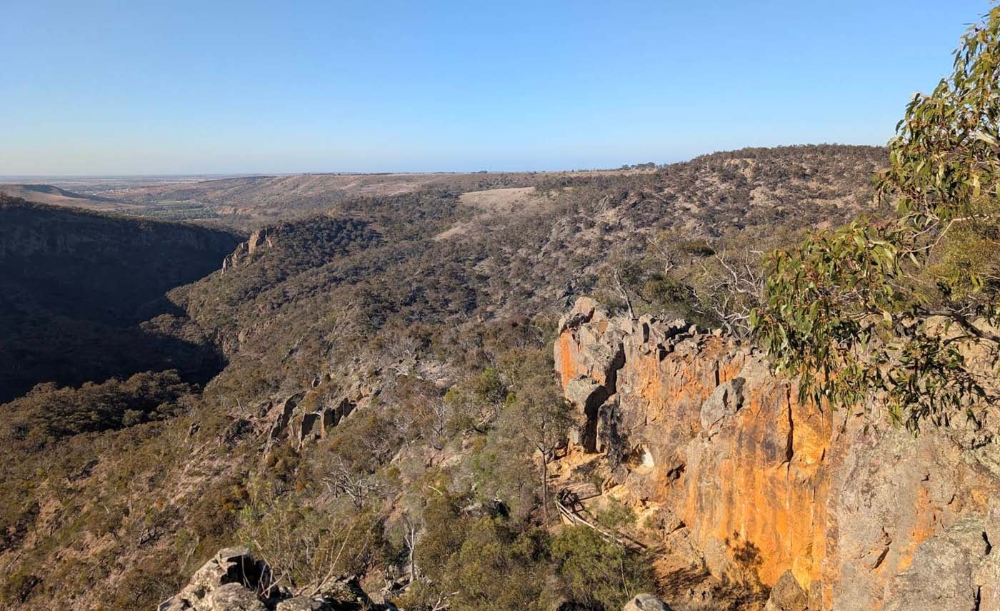 Falcons lookout walk (14)