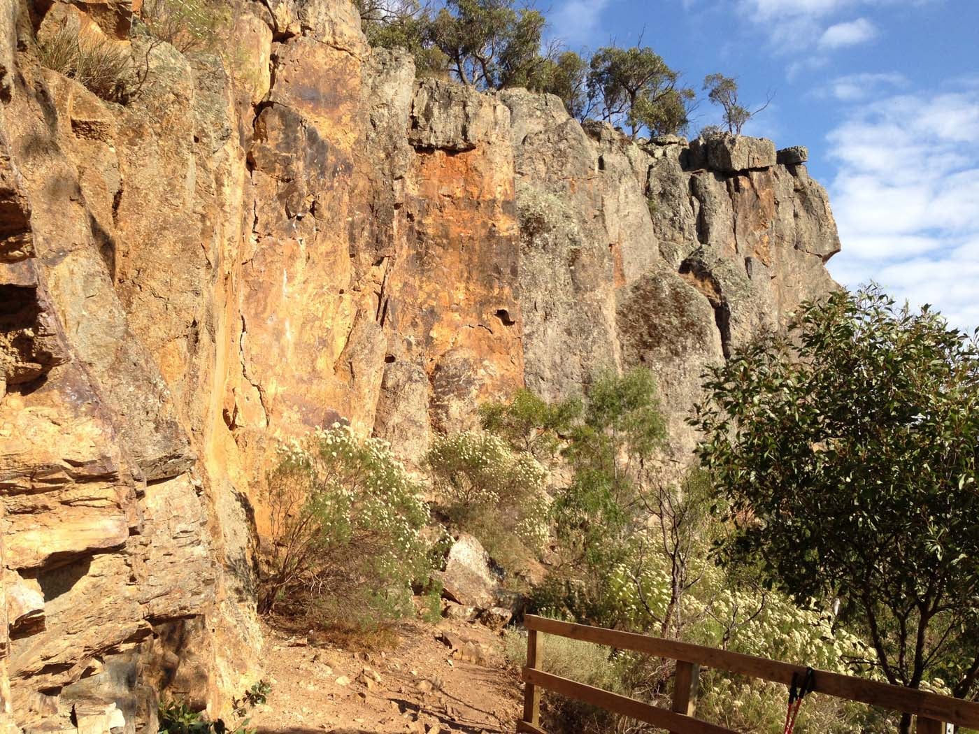 Falcons lookout walk (15)