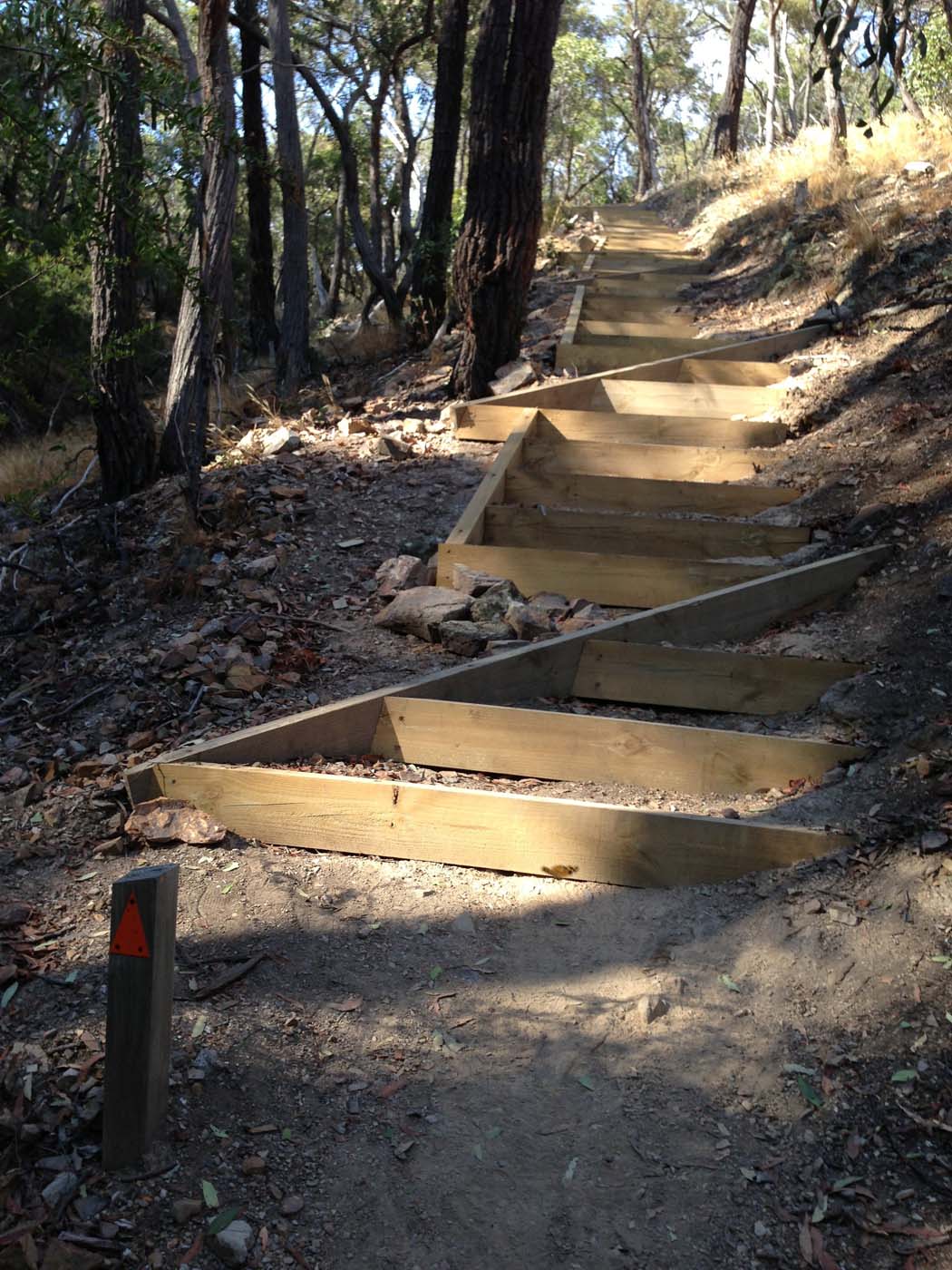 Falcons lookout walk (19)