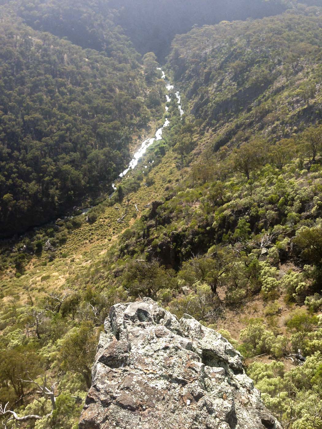 Falcons lookout walk (3)