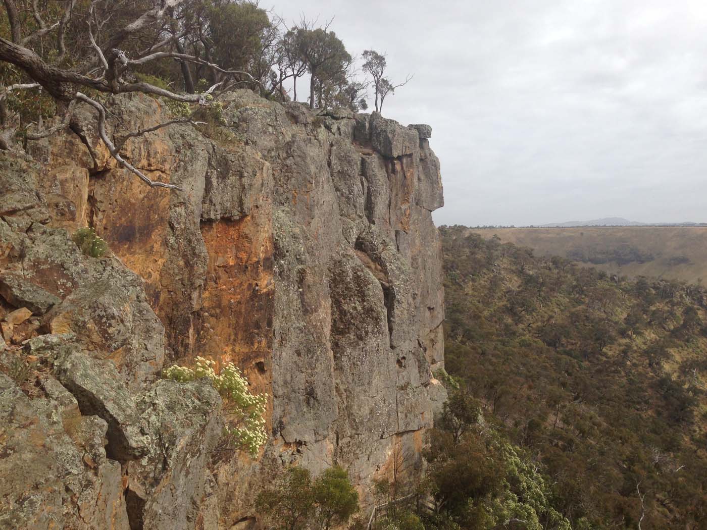 Falcons lookout walk (4)