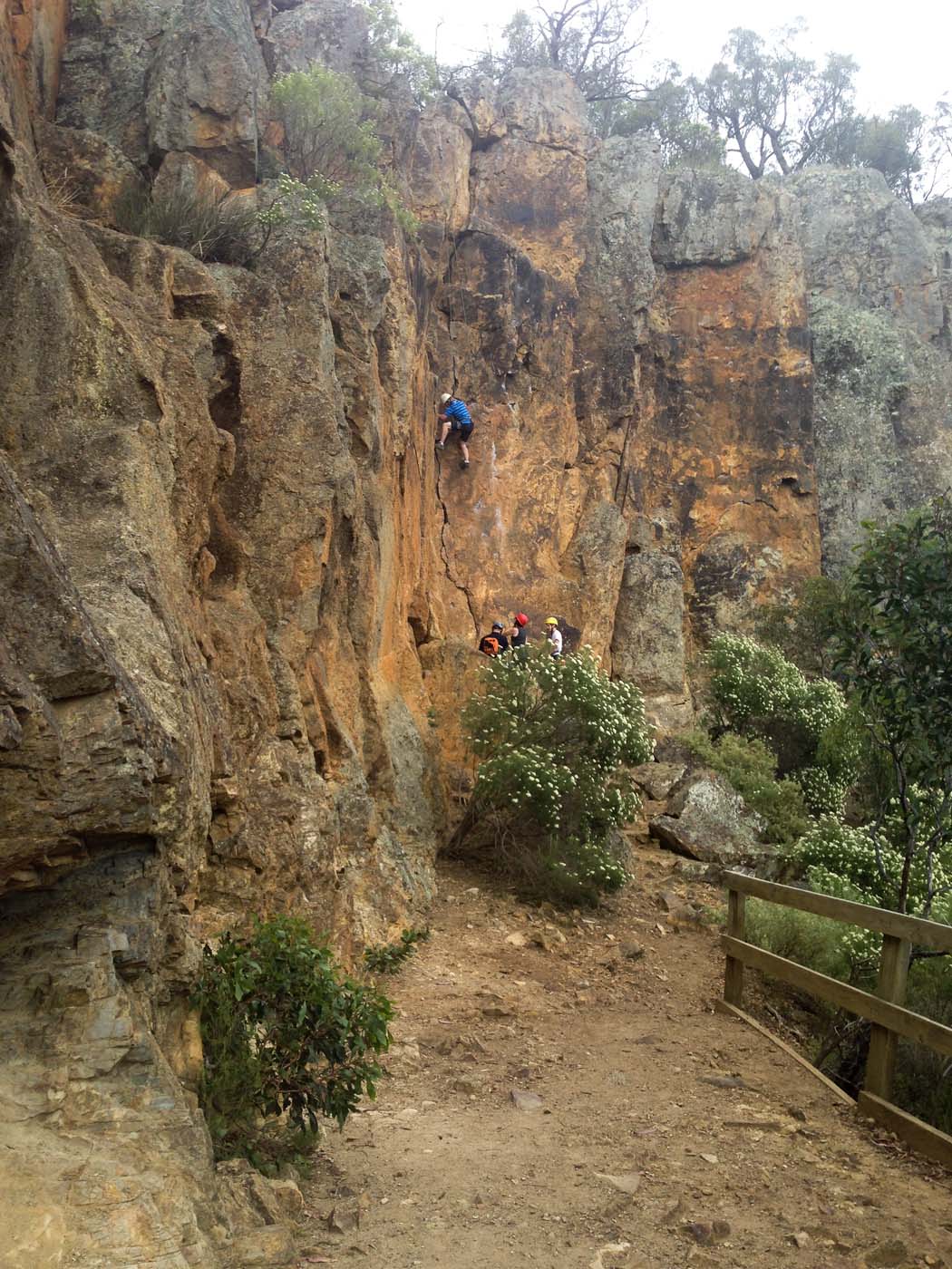 Falcons lookout walk (6)