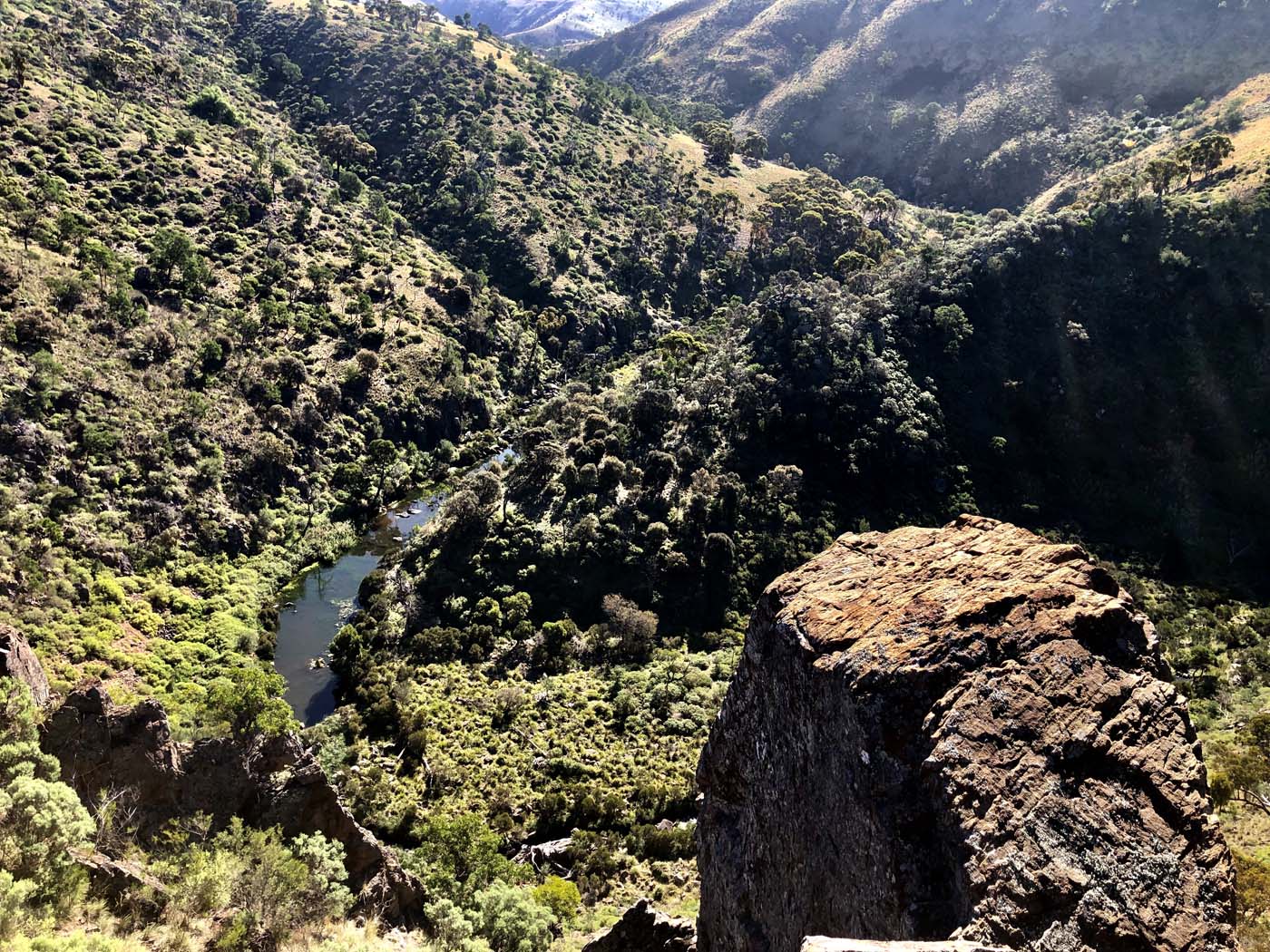 Falcons lookout walk (7)