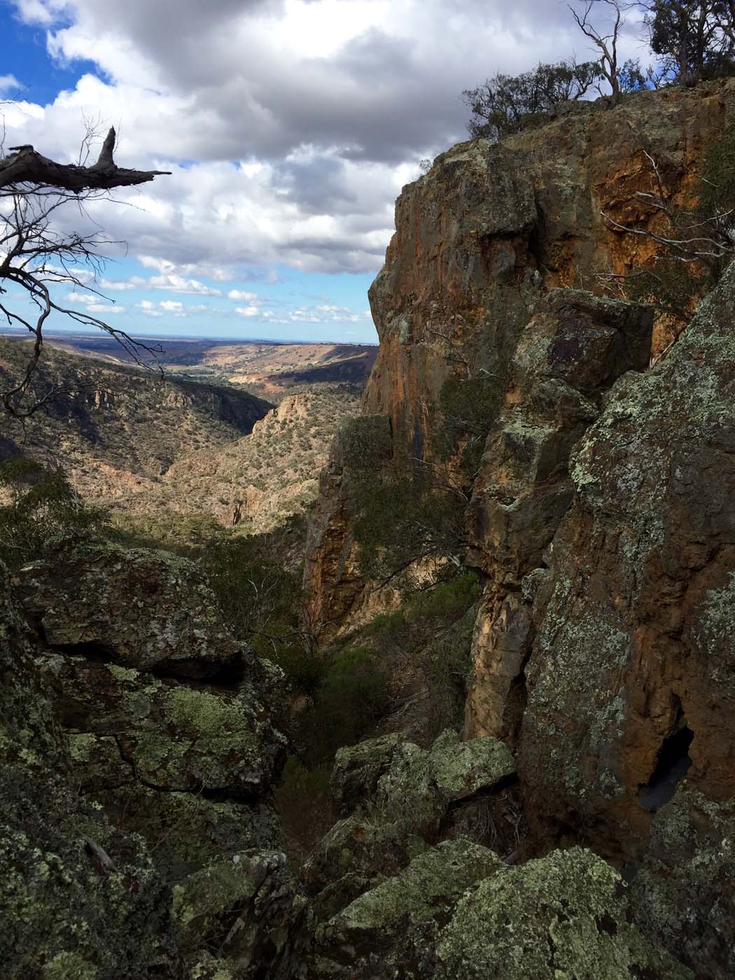 Falcons lookout walk (8)