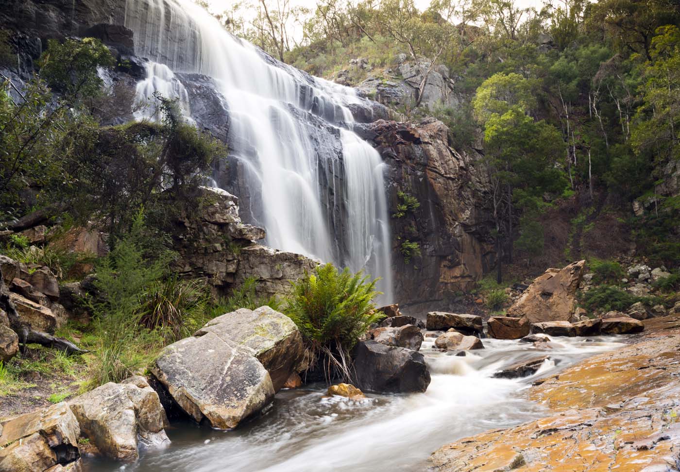 Fish falls walk (1)