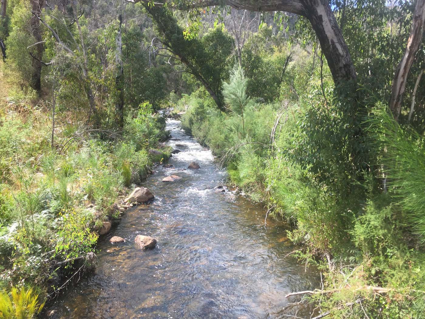Fish falls walk (3)