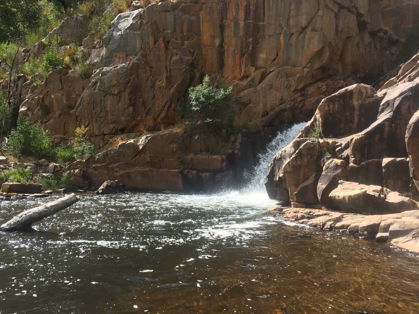 Fish falls walk (4)