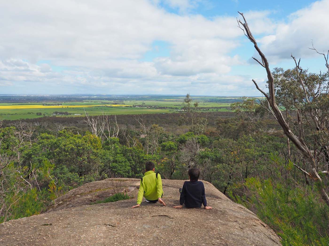 Flinders peak walk (1)