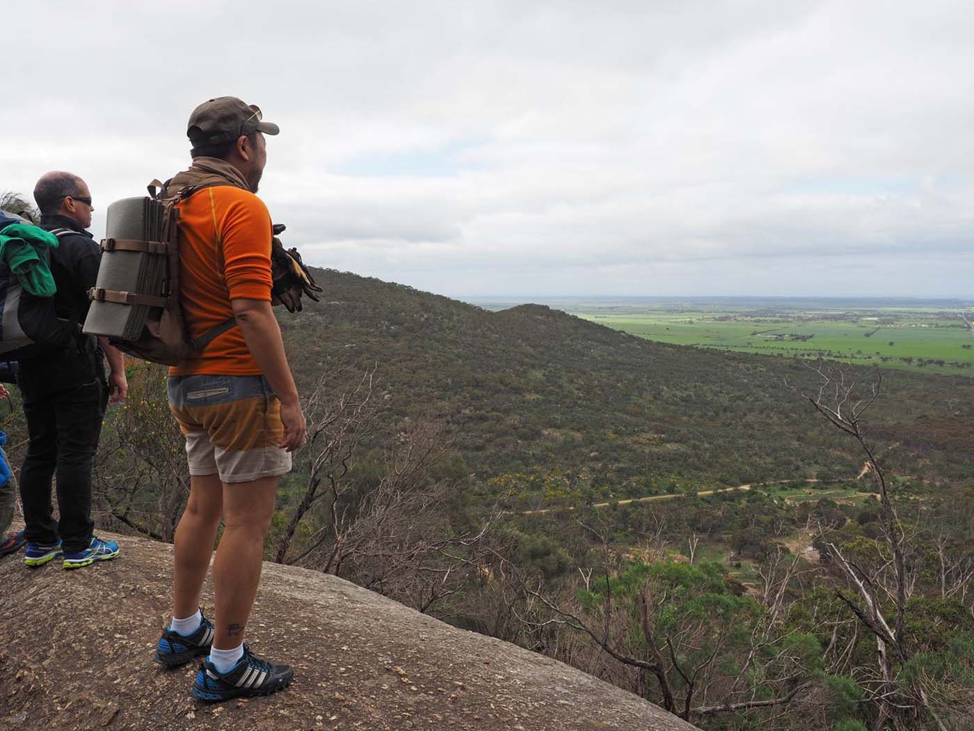 Flinders peak walk (17)
