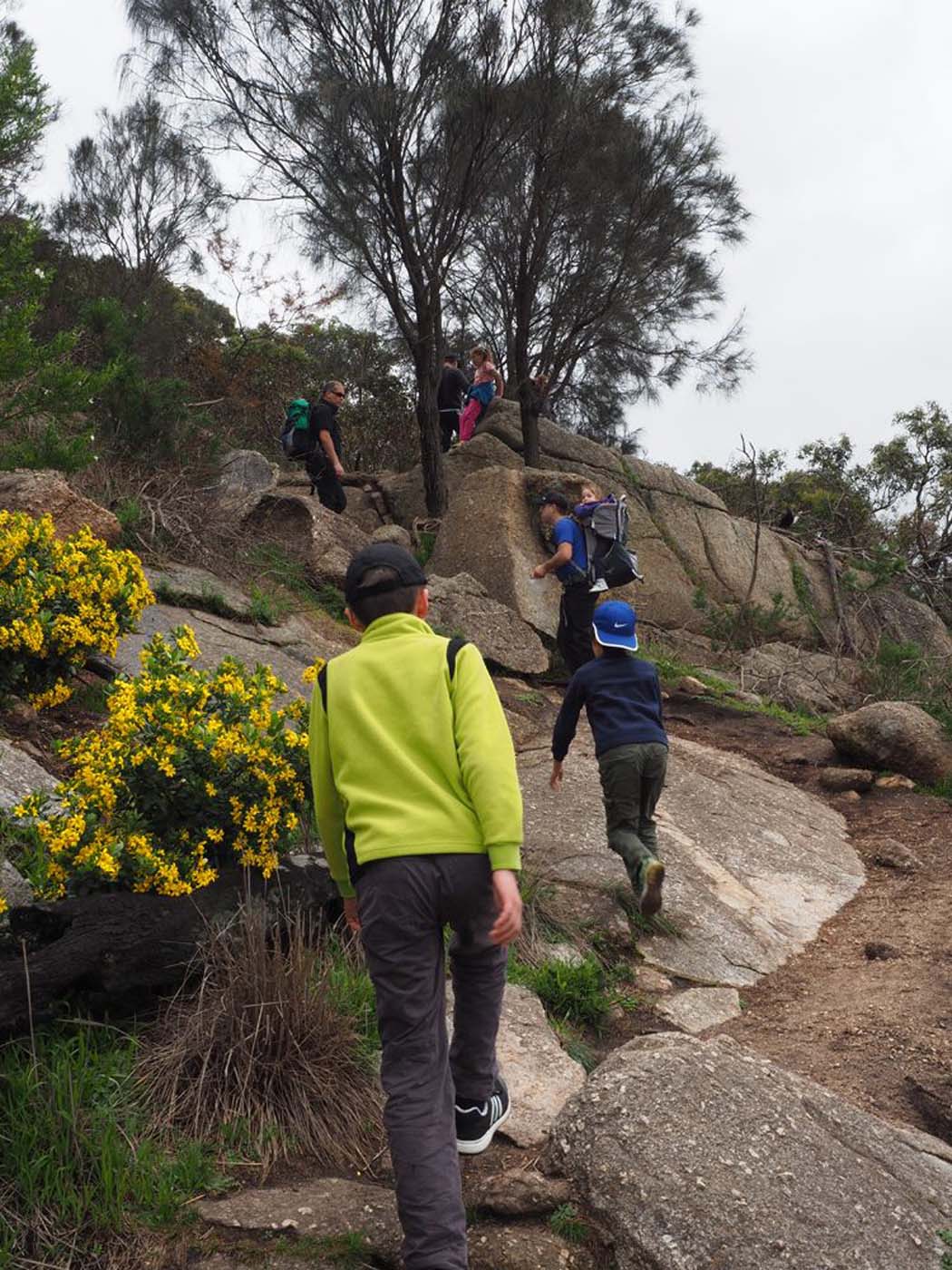 Flinders peak walk (18)