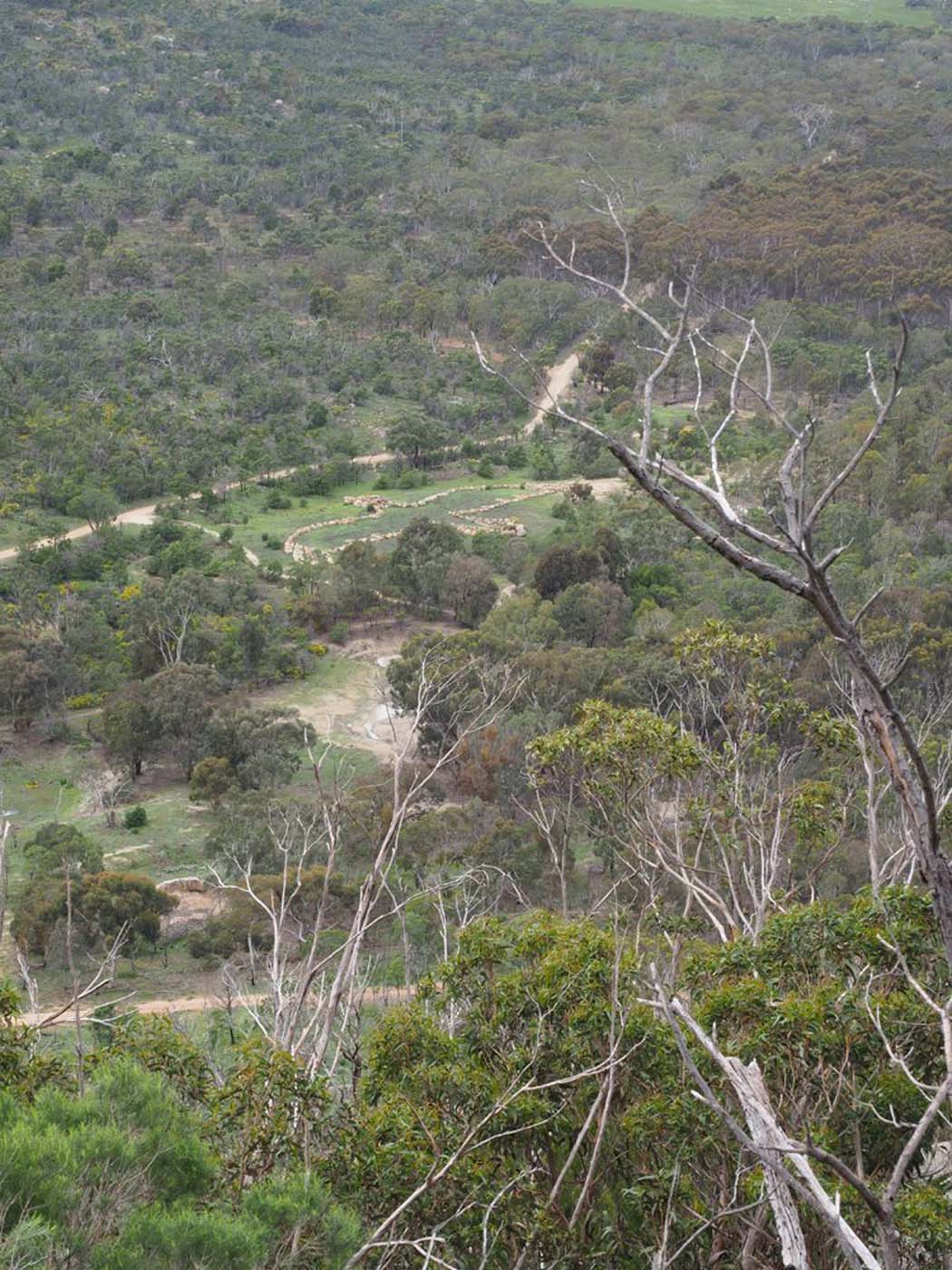 Flinders peak walk (2)