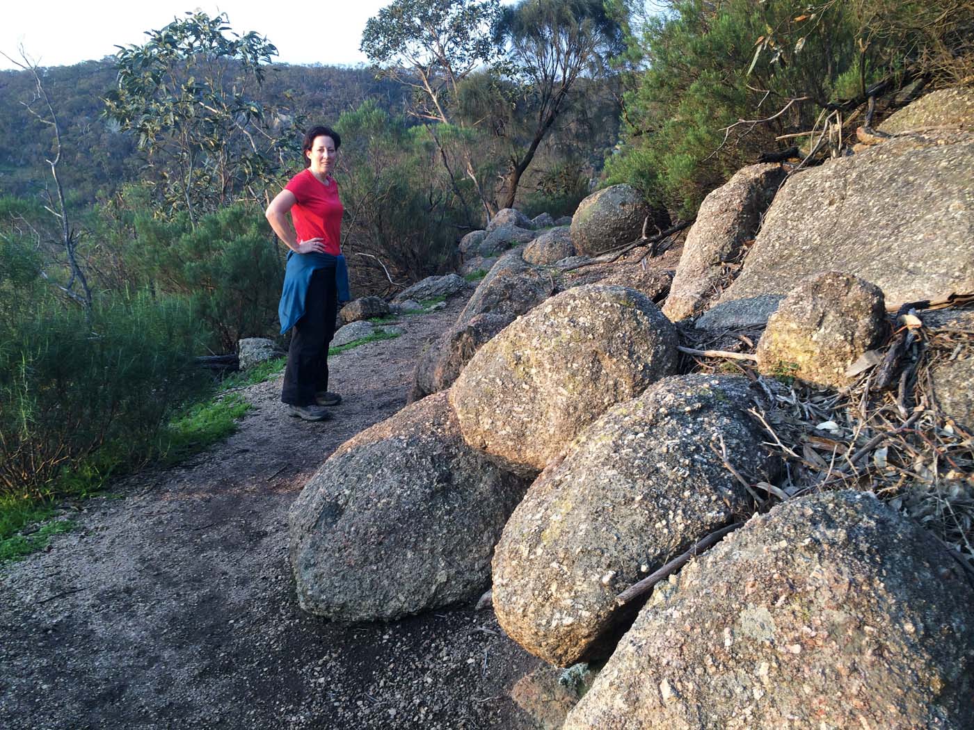 Flinders peak walk (24)