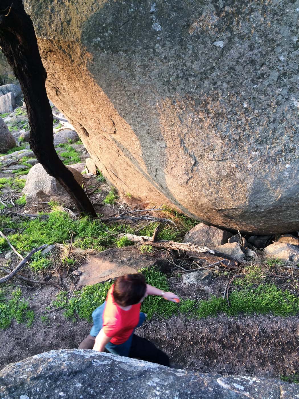 Flinders peak walk (25)