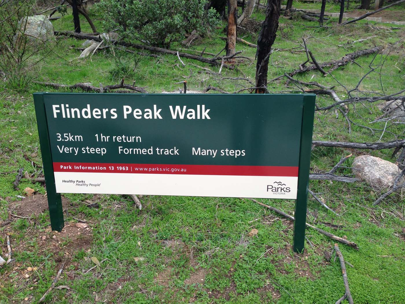 Flinders peak walk (29)