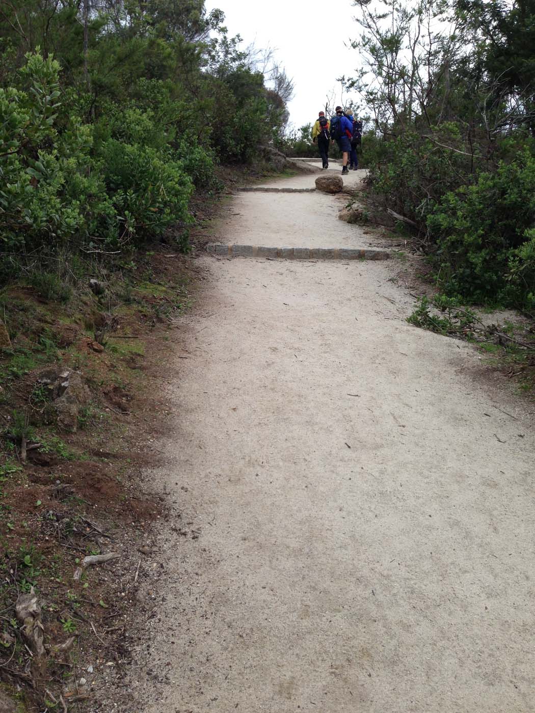Flinders peak walk (30)