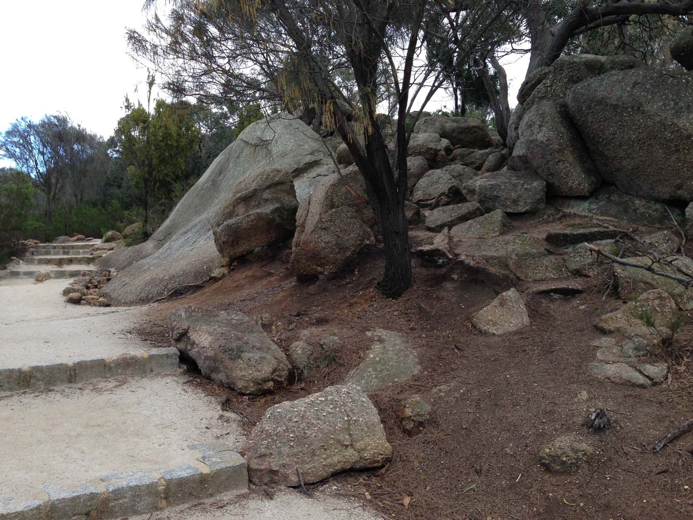 Flinders peak walk (31)
