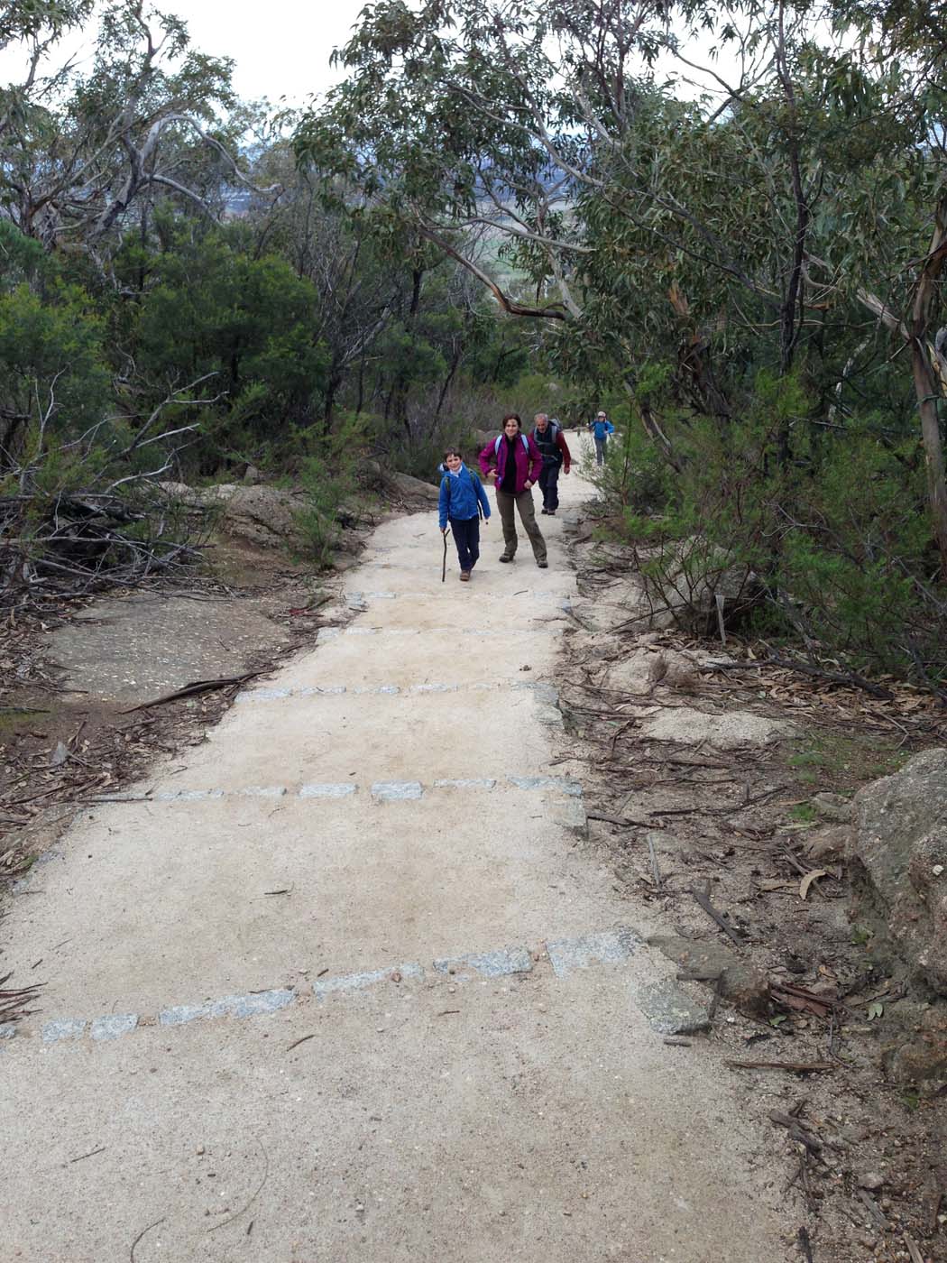 Flinders peak walk (32)