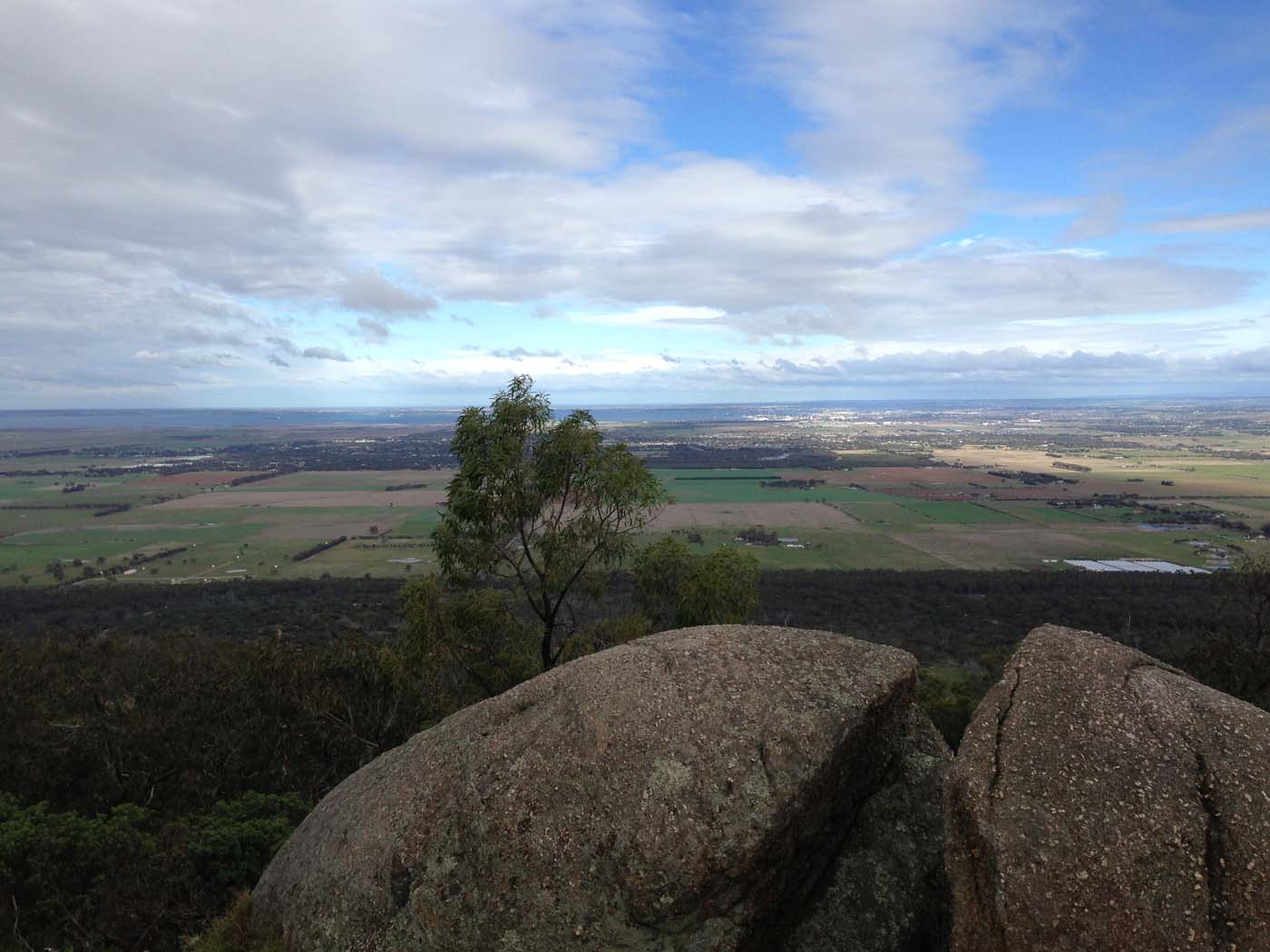 Flinders peak walk (36)