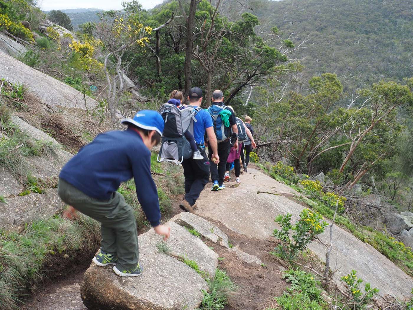 Flinders peak walk (8)