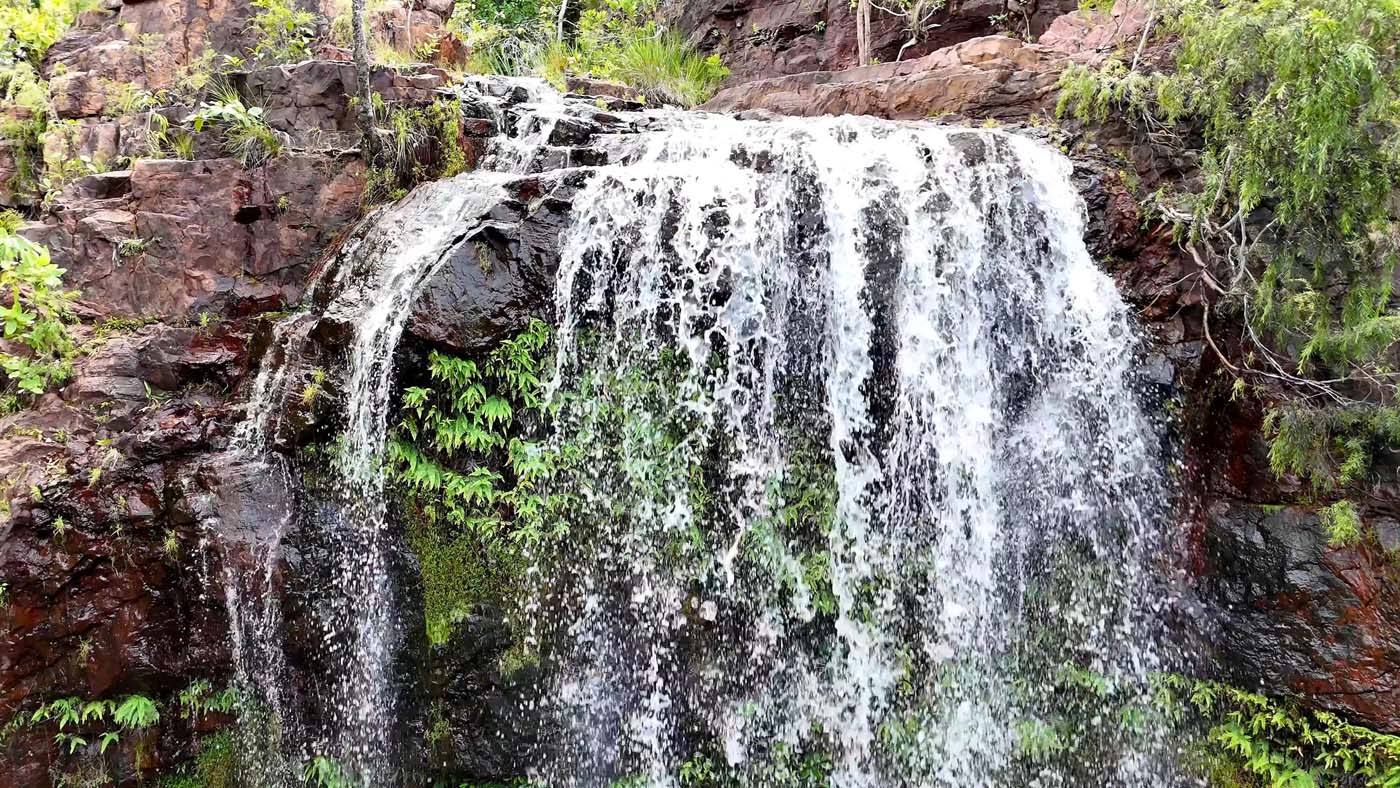 Florence falls greenant creek litchfield (7)