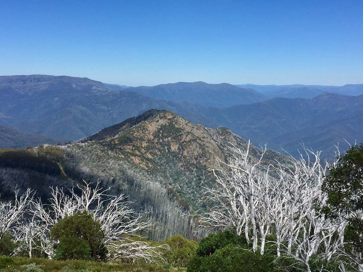 Four & six mile spurs hike 112